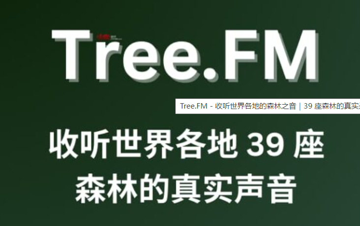 Tree.FM – 收听世界各地的森林之音｜39 座森林的真实录音