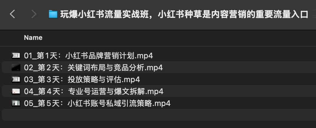 辛言玩爆小红书流量实战班，小红书种草是内容营销的重要流量入口